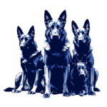 German-shepherds.png