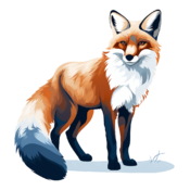 Curious fox 4.png