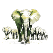 Elephants.png