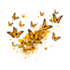 Swarming monarch butterflies 2.png