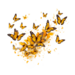 Swarming monarch butterflies 2.png